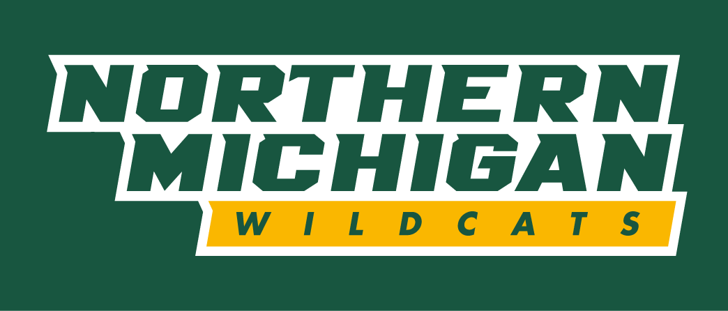 Northern Michigan Wildcats 2016-Pres Wordmark Logo t shirts iron on transfers